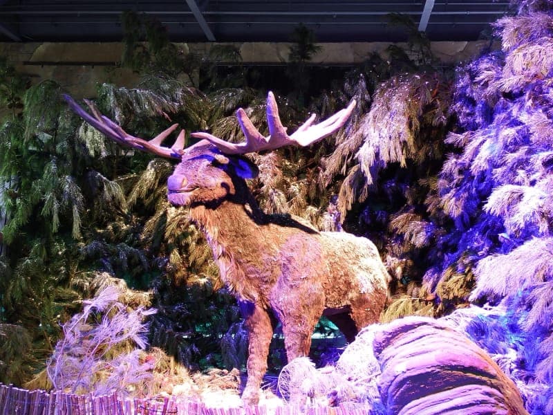 Winter Wonderland Moose
